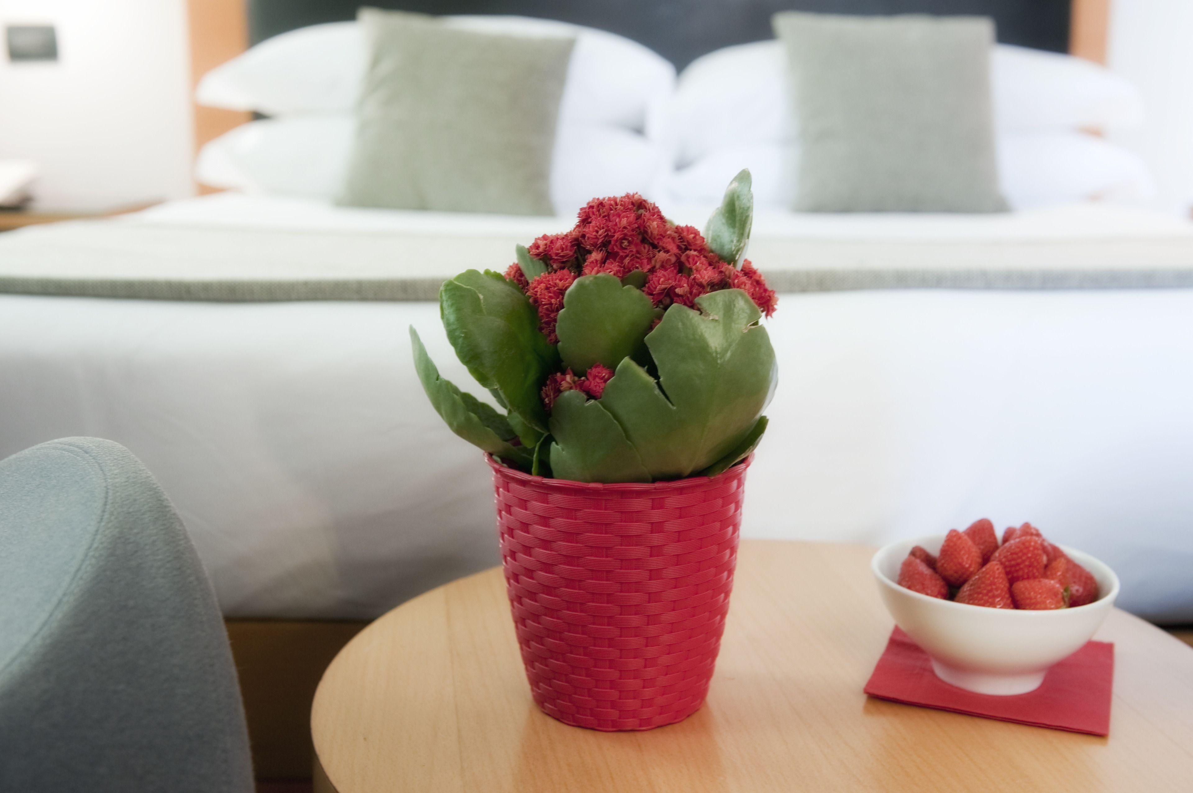 Best Western Ars Hotel — Fotos 3